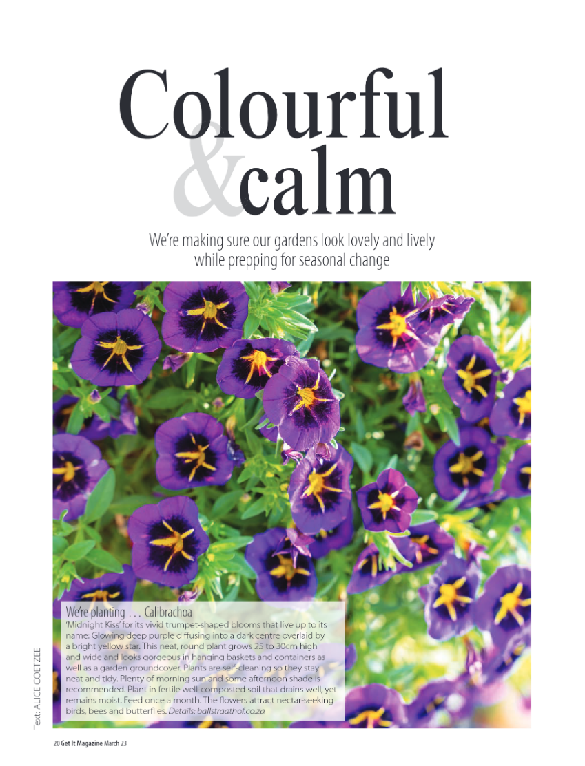 Get It North March 2023 page 20