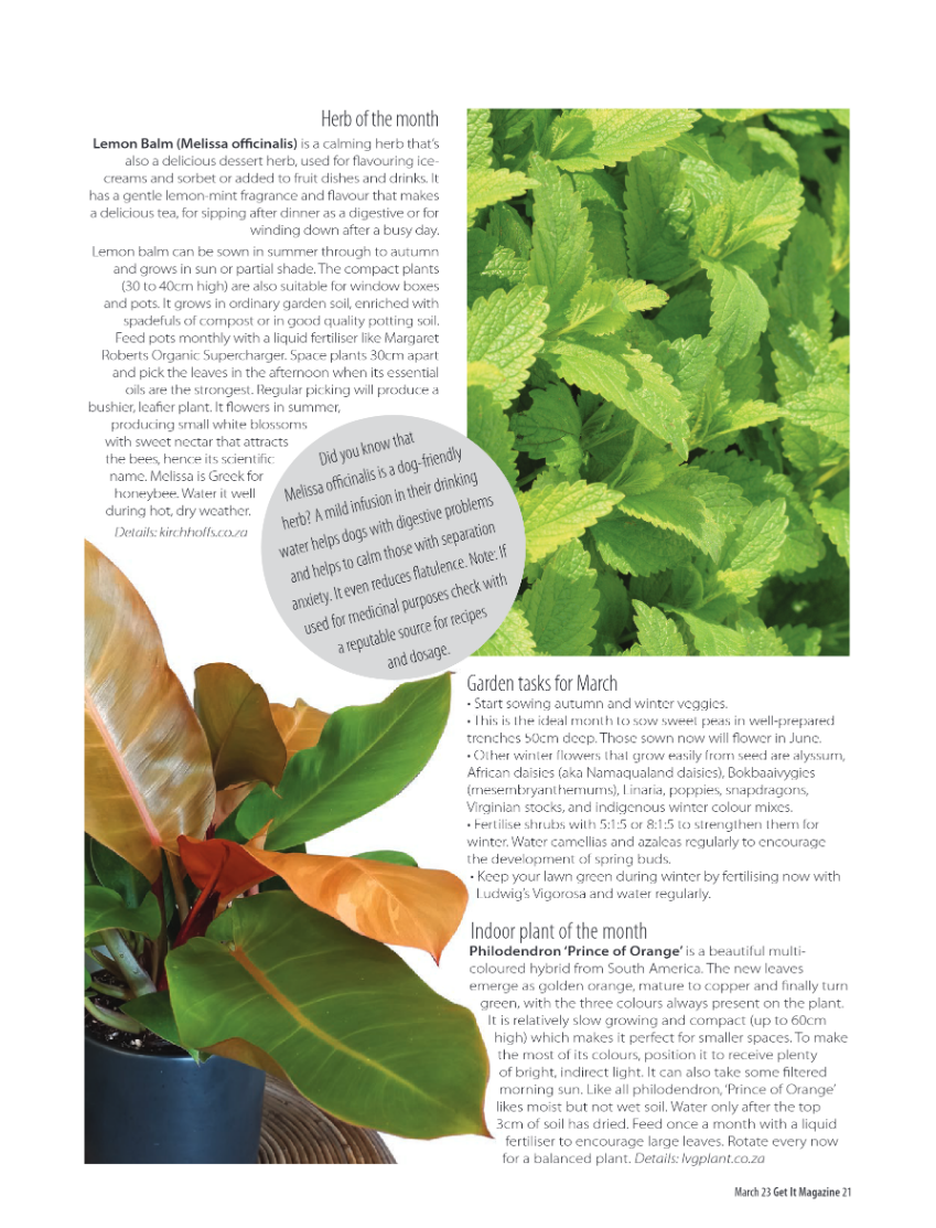 Get It North March 2023 page 21