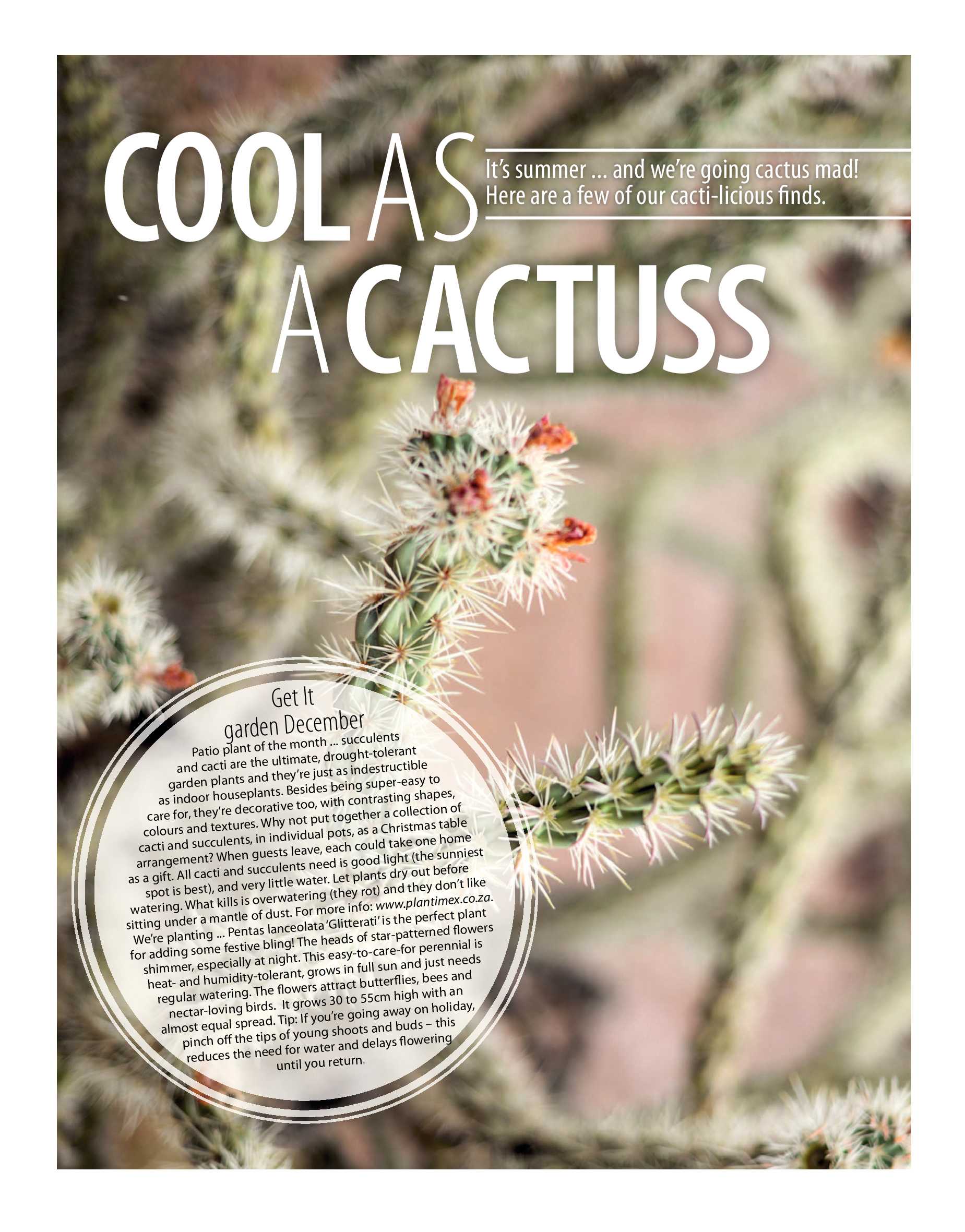 Get It December page 72