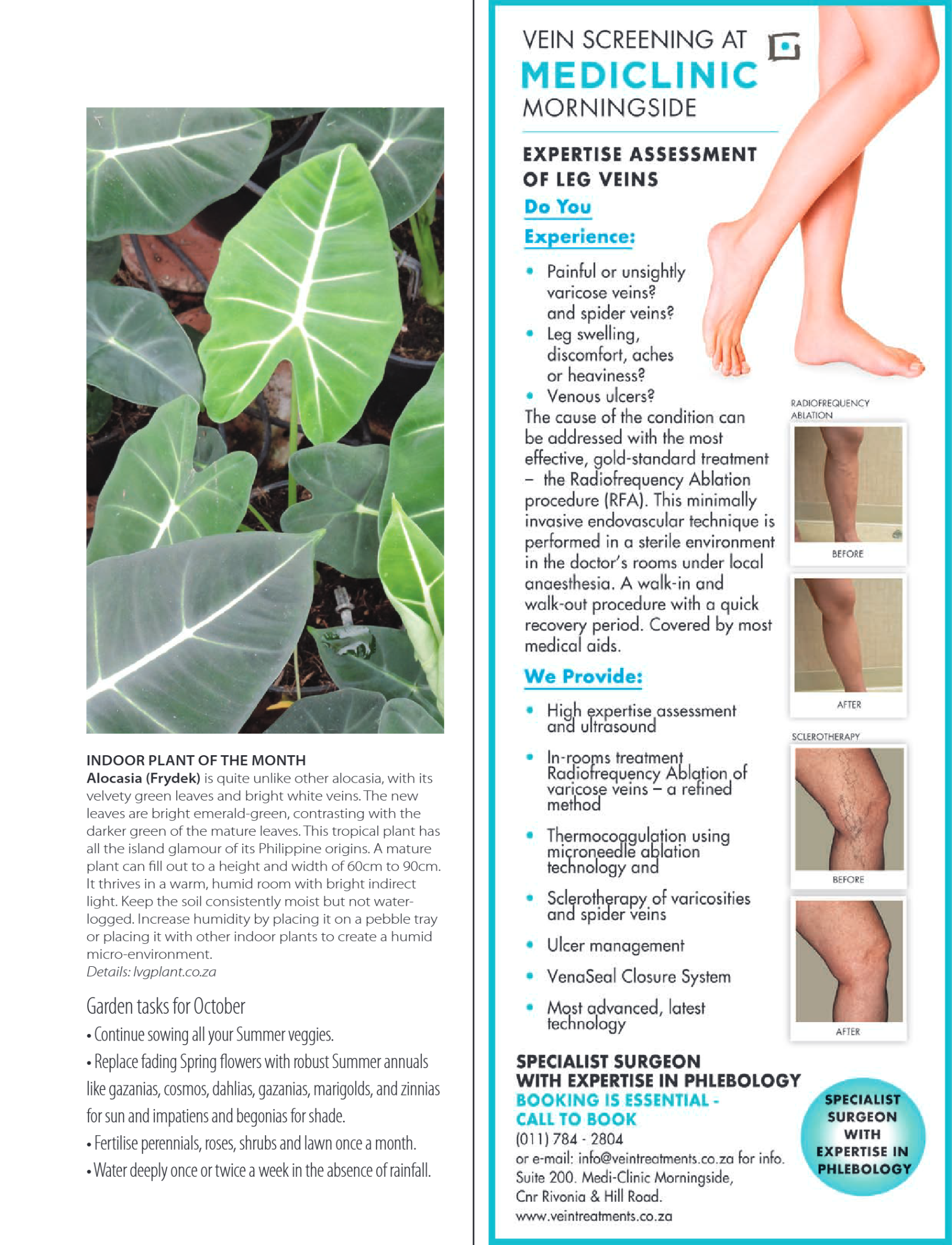 Get It JHB North October 2026 page 29