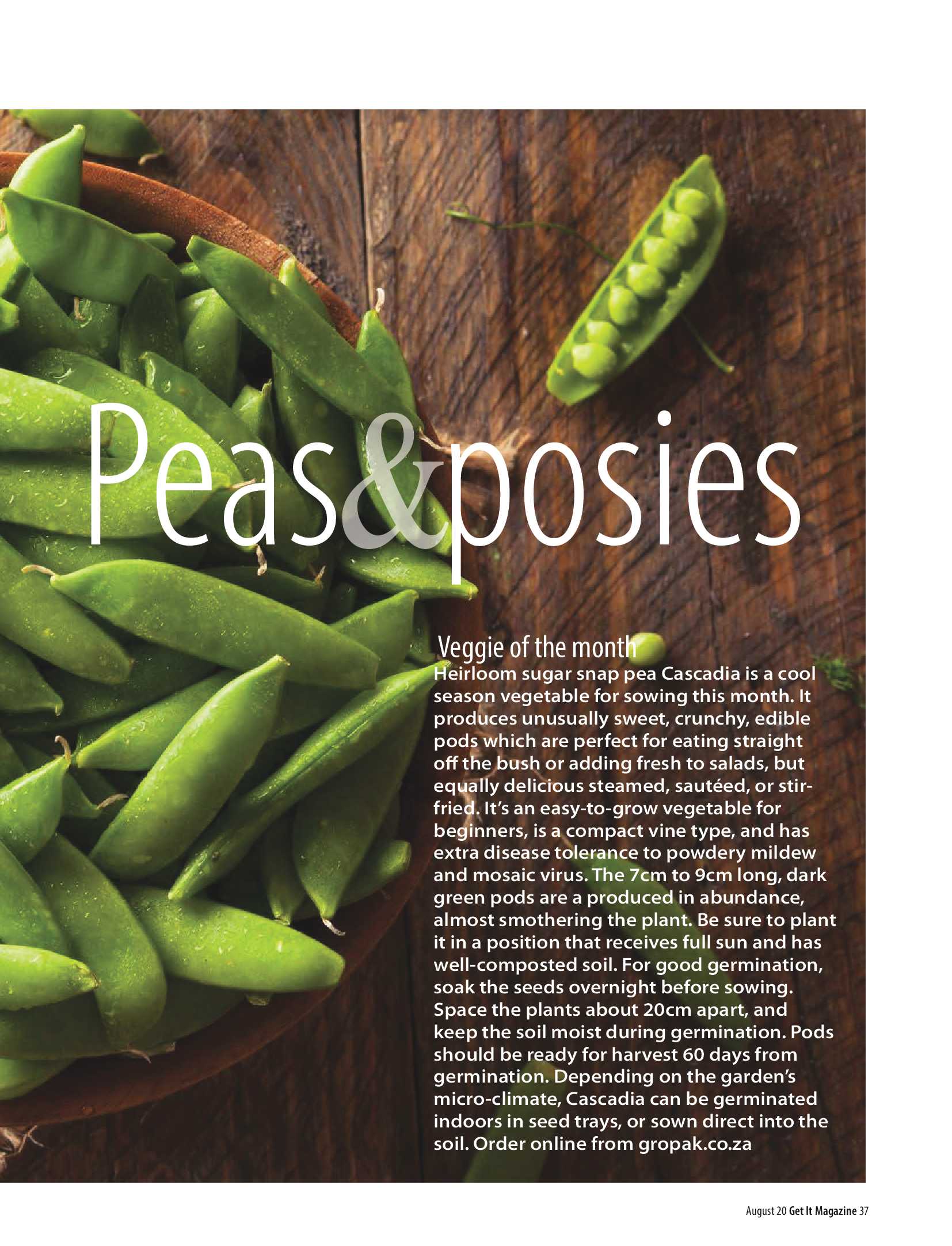 Get It Joburg North August 2020 page 37