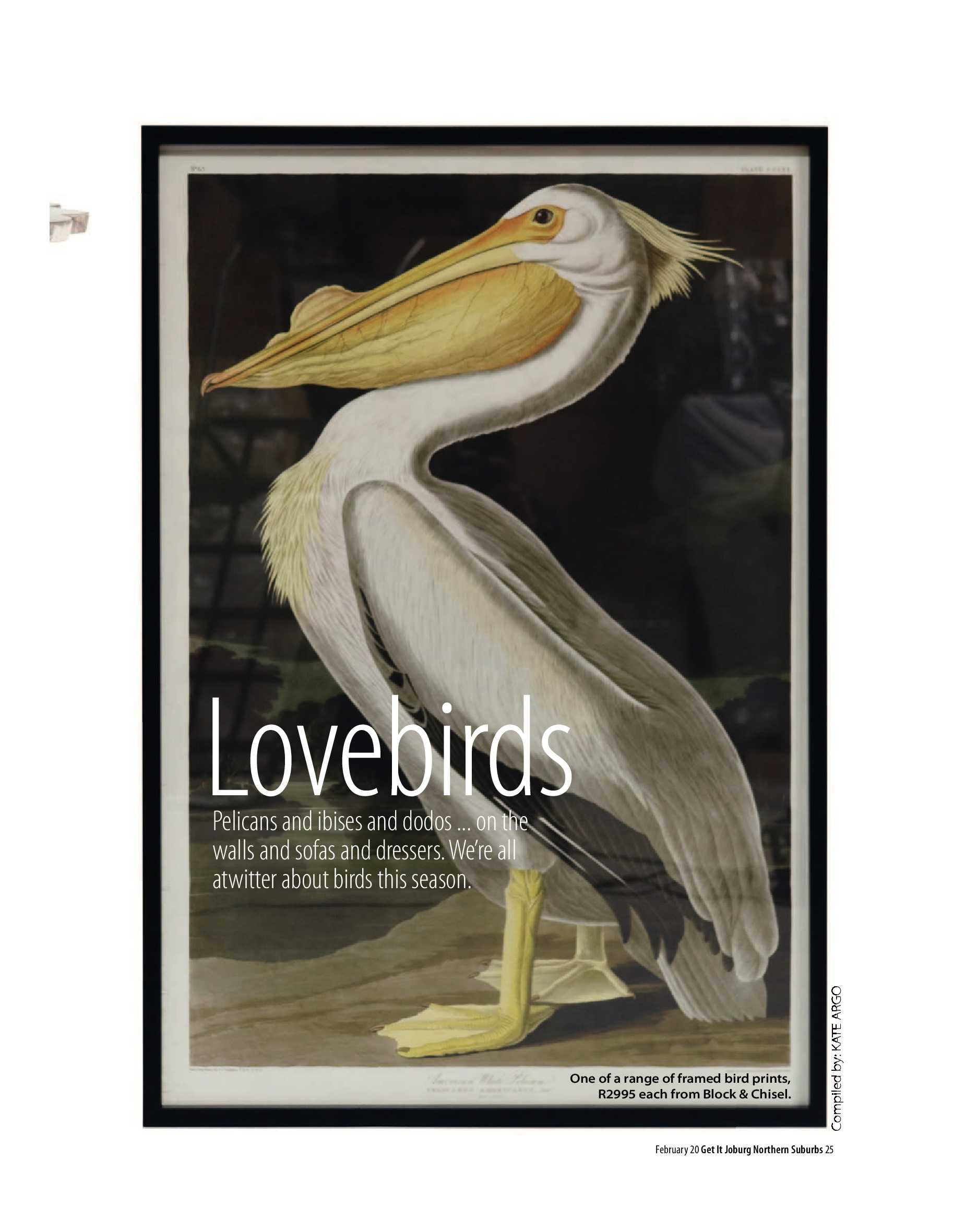 Get It Joburg North February 2020 page 25