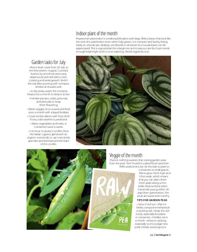 Get It Joburg North July 2021 page 25