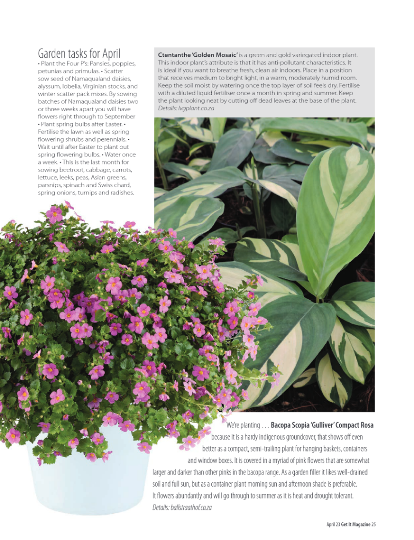 Get It North April 2023 page 25