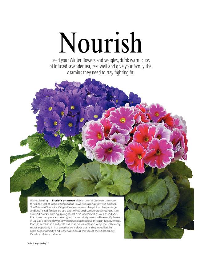 Get It North July 2022 page 26