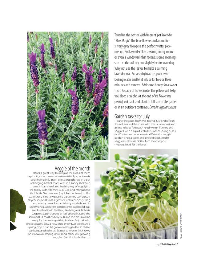 Get It North July 2022 page 27