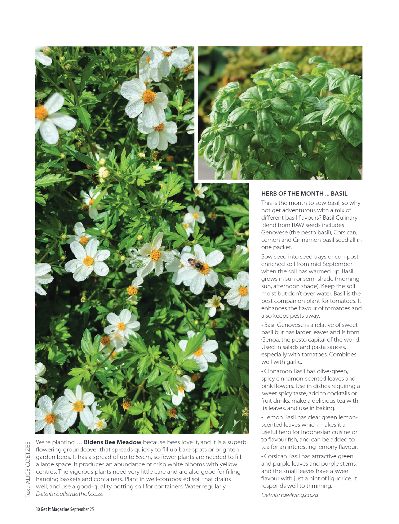 Get It North Sept 2025 page 30