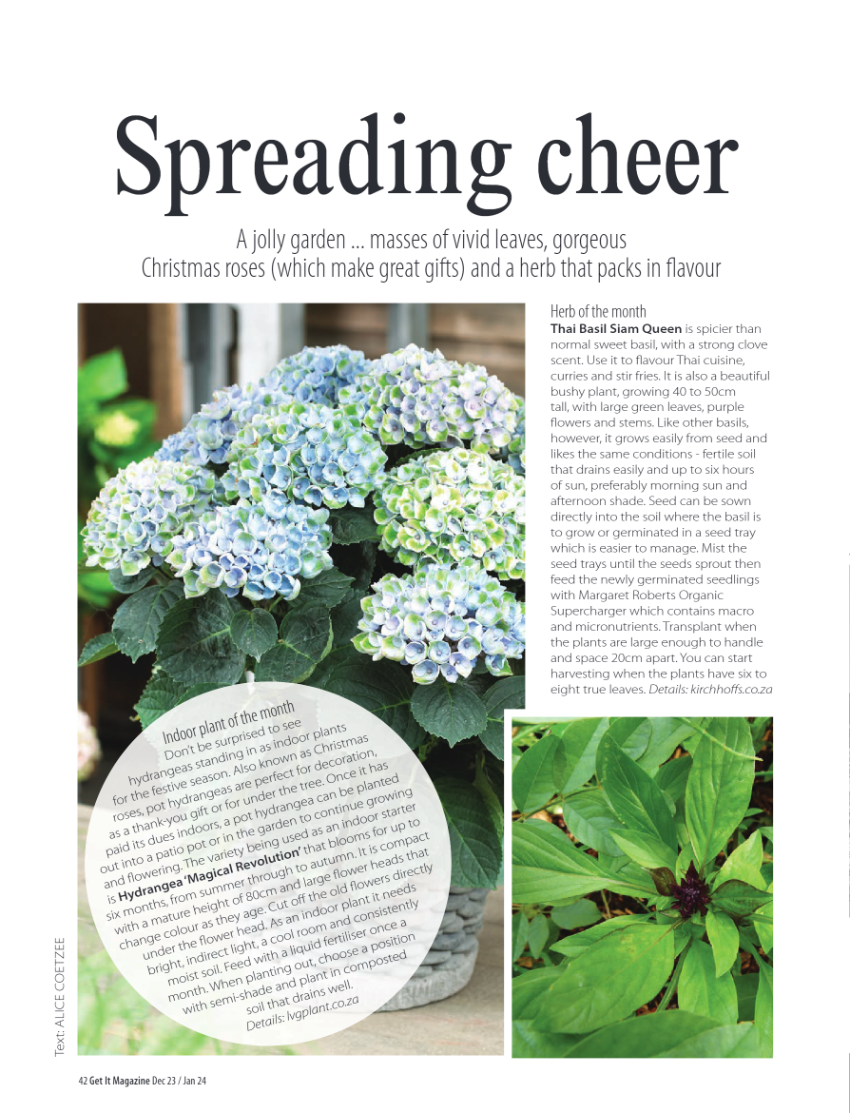 Get it North December page 42