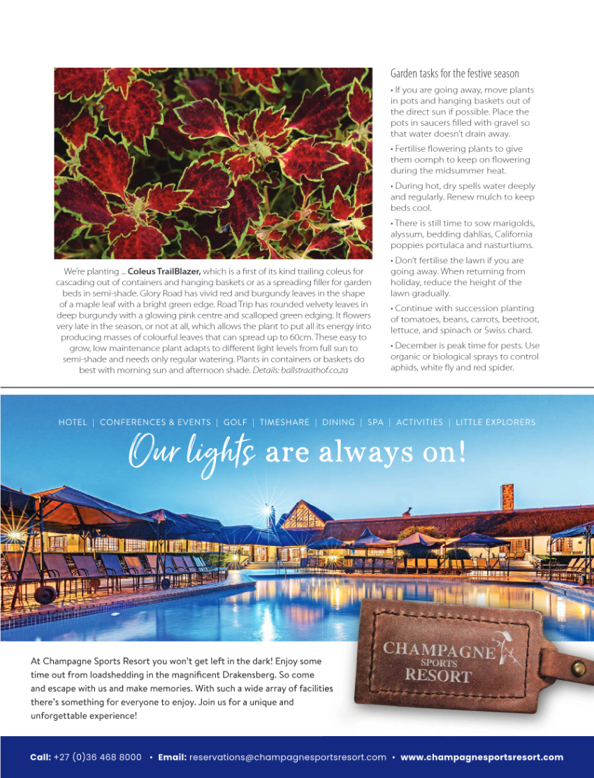 Get it North December page 43