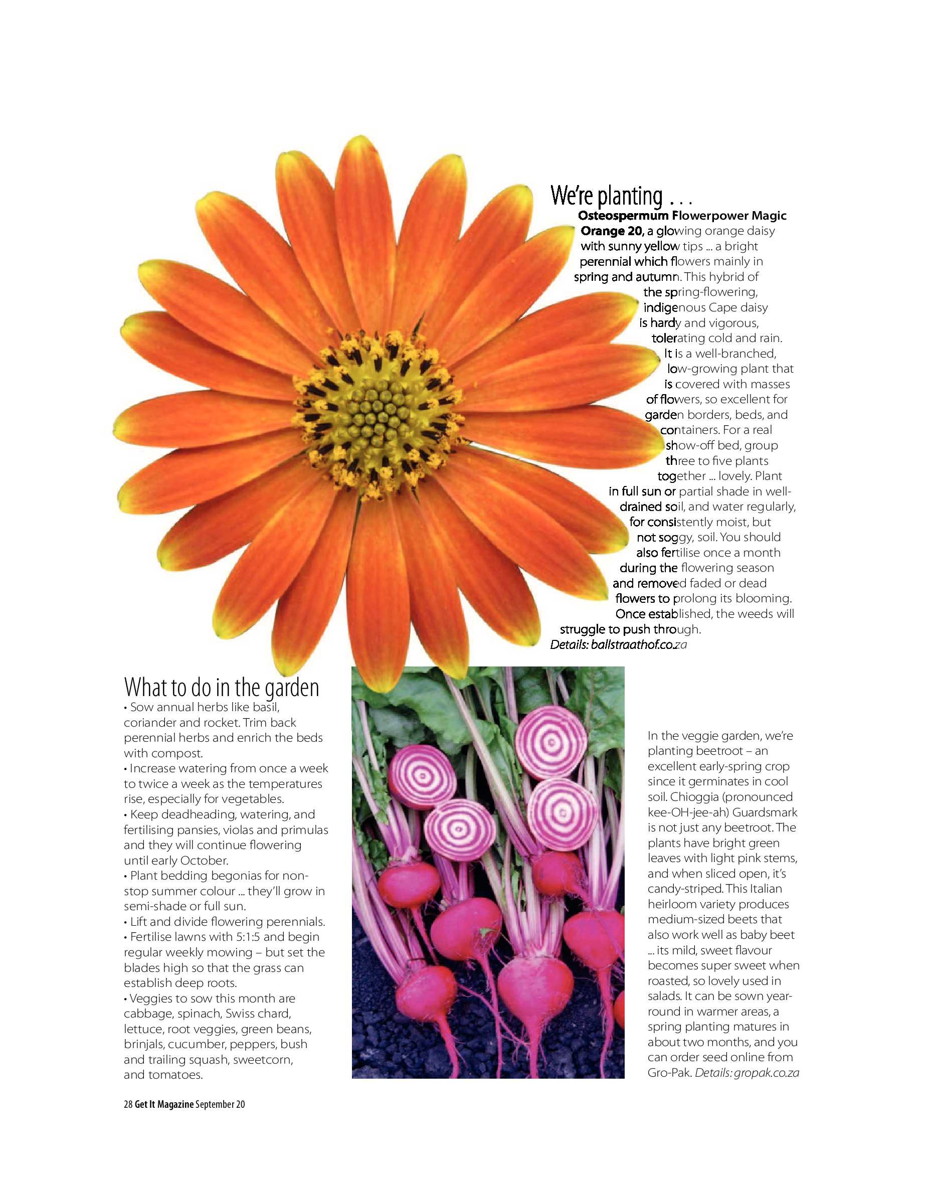 Get It Joburg North September 2020 page 28