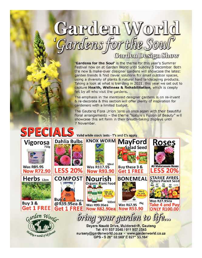 Get it Joburg North November 2021 page 23