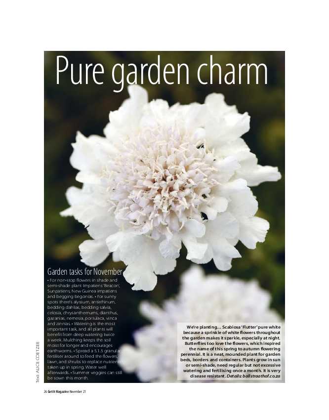 Get it Joburg North November 2021 page 26