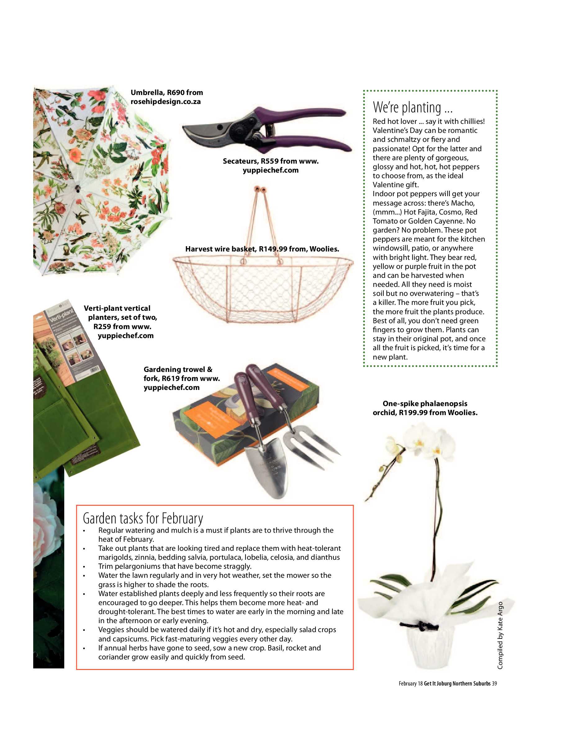 Get It North Feb Issue page 39